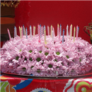 https://bonovo.isisflor.com/fileuploads/Produtos/Exclusivos/thumb__Isisflor_Cake_Florido_01.png