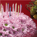 https://bonovo.isisflor.com/fileuploads/Produtos/Exclusivos/thumb__Isisflor_Cake_Florido_02.png