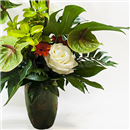 https://bonovo.isisflor.com/fileuploads/Produtos/Exclusivos/thumb__Paraiso_Exclusivo_03.jpg