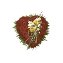 https://bonovo.isisflor.com/fileuploads/Produtos/Funerais/thumb__Isisflor_Coracao_Tradicional_Rosas_Orquideas_51_01.png