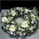 https://bonovo.isisflor.com/fileuploads/Produtos/Funerais/thumb__Isisflor_Coroa_Moderna_12_01.png