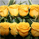 https://bonovo.isisflor.com/fileuploads/Produtos/Rosas/thumb__Isisflor_Composicao_Classica_de_Rosas_02.png