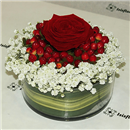 https://bonovo.isisflor.com/fileuploads/Produtos/Rosas/thumb__Isisflor_Es_o_meu_mundo_01.png