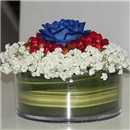 https://bonovo.isisflor.com/fileuploads/Produtos/Rosas/thumb__Isisflor_Es_o_meu_mundo_02.png
