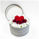 https://bonovo.isisflor.com/fileuploads/Produtos/Rosas/thumb__Um_dia_Especial_01.jpg