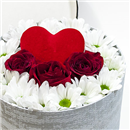https://bonovo.isisflor.com/fileuploads/Produtos/Rosas/thumb__Um_dia_Especial_02.jpg